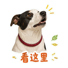 表情 6