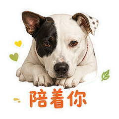 表情 10