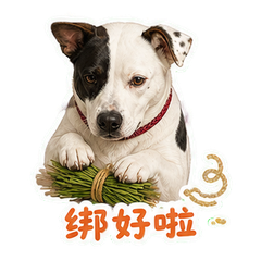 表情 8