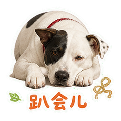 表情 11