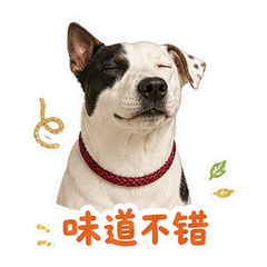 表情 9