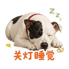 表情 12
