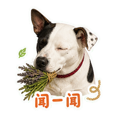 药草阁楼的斑栗 sticker 2