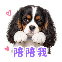 表情 11