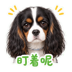 表情 5