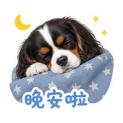 表情 12