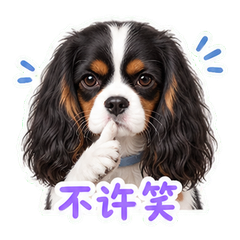 表情 4
