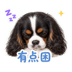 表情 7
