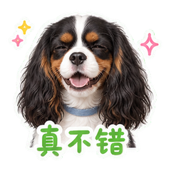 表情 9