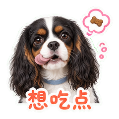 表情 6