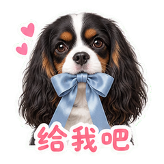 表情 8
