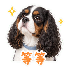 表情 2
