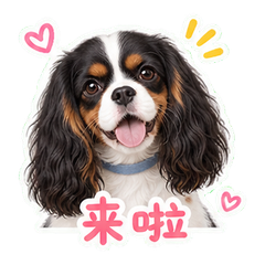 表情 1