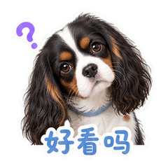 表情 3