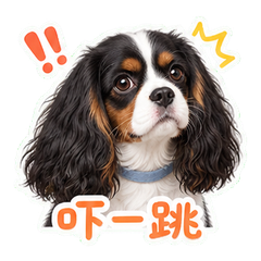 表情 10