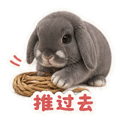 表情 5