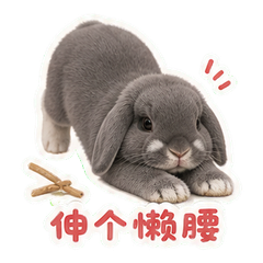 表情 11