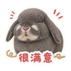 表情 9