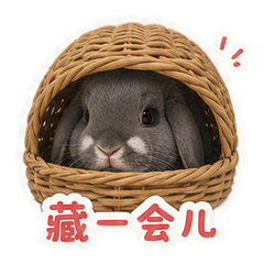 表情 8