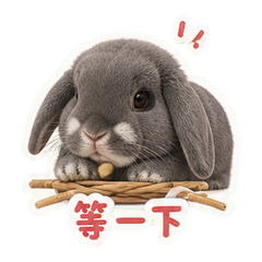 藤编阁楼的烟团 sticker 3