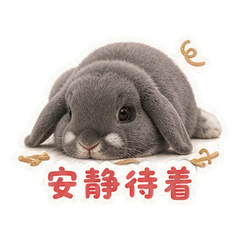 表情 6