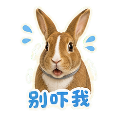 貼圖 7