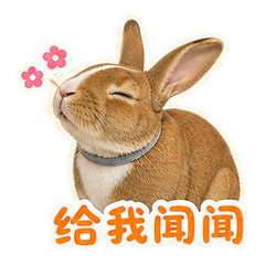 貼圖 5