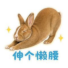 貼圖 11