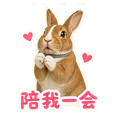 貼圖 9