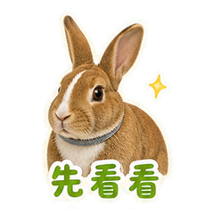 陶房窗边的栗球 sticker 3