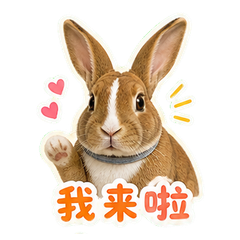 陶房窗边的栗球 sticker 1