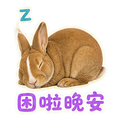 貼圖 12
