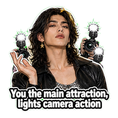 Main Attraction Lights Camera Action sticker 1