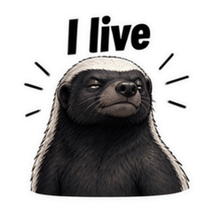 Sticker 11