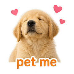 Pet Owner Reactions #2