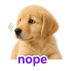 Pet Owner Reactions #3