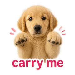 Sticker 5