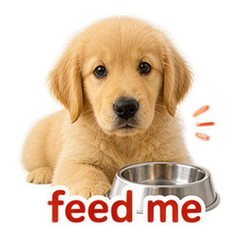 Pet Owner Reactions #1