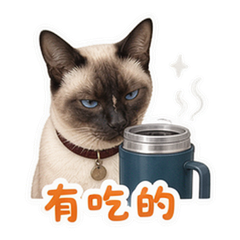 表情 8