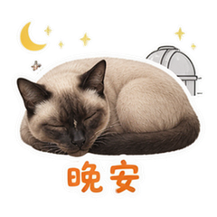 表情 12