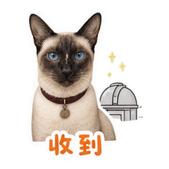 表情 1