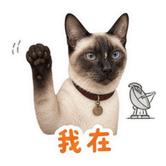 表情 2