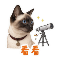 表情 3