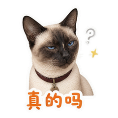 表情 5