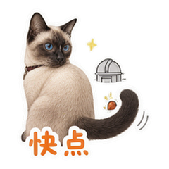 表情 7