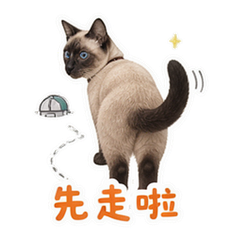 表情 10