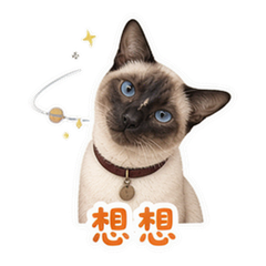 表情 9