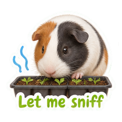 Sticker 4