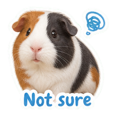 Sticker 6