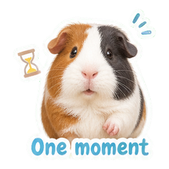 Sticker 2